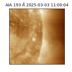 saia - 2025-03-03T11:00:04.843000