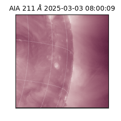 saia - 2025-03-03T08:00:09.633000