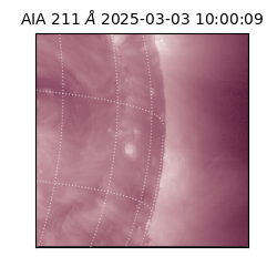 saia - 2025-03-03T10:00:09.632000