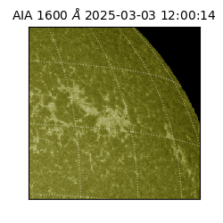 saia - 2025-03-03T12:00:14.125000