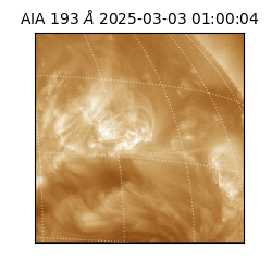 saia - 2025-03-03T01:00:04.843000