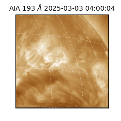 saia - 2025-03-03T04:00:04.843000