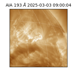 saia - 2025-03-03T09:00:04.844000