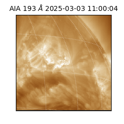 saia - 2025-03-03T11:00:04.843000