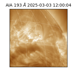 saia - 2025-03-03T12:00:04.842000