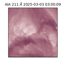 saia - 2025-03-03T03:00:09.630000