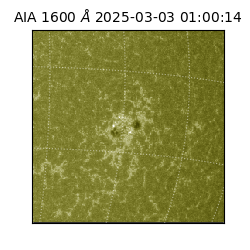 saia - 2025-03-03T01:00:14.125000