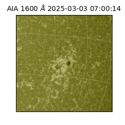 saia - 2025-03-03T07:00:14.125000