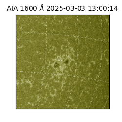 saia - 2025-03-03T13:00:14.129000