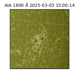 saia - 2025-03-03T15:00:14.126000