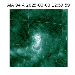 saia - 2025-03-03T12:59:59.122000