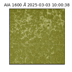 saia - 2025-03-03T10:00:38.126000