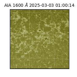 saia - 2025-03-03T01:00:14.125000