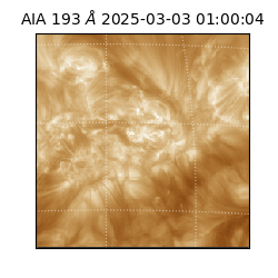 saia - 2025-03-03T01:00:04.843000