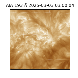saia - 2025-03-03T03:00:04.843000