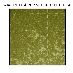 saia - 2025-03-03T01:00:14.125000