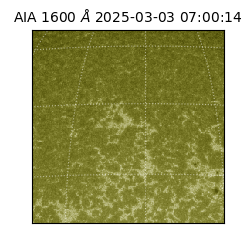 saia - 2025-03-03T07:00:14.125000