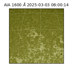 saia - 2025-03-03T08:00:14.126000