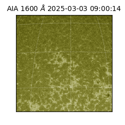 saia - 2025-03-03T09:00:14.129000