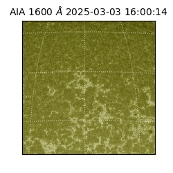 saia - 2025-03-03T16:00:14.125000