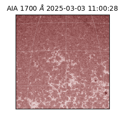 saia - 2025-03-03T11:00:28.717000