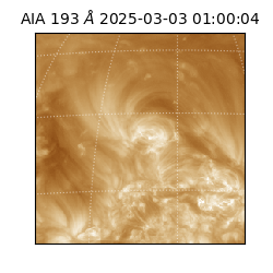 saia - 2025-03-03T01:00:04.843000