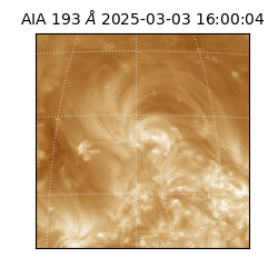 saia - 2025-03-03T16:00:04.846000