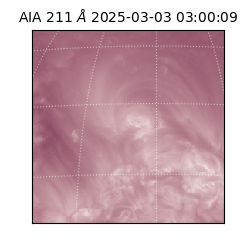 saia - 2025-03-03T03:00:09.630000