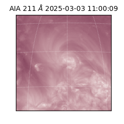 saia - 2025-03-03T11:00:09.630000