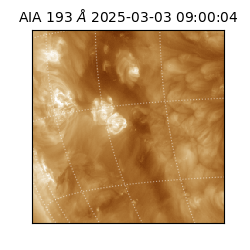 saia - 2025-03-03T09:00:04.844000