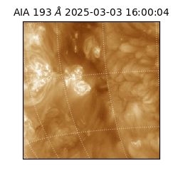 saia - 2025-03-03T16:00:04.846000