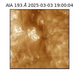 saia - 2025-03-03T19:00:04.846000