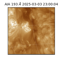 saia - 2025-03-03T23:00:04.843000