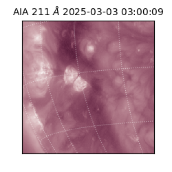 saia - 2025-03-03T03:00:09.630000