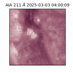 saia - 2025-03-03T04:00:09.631000