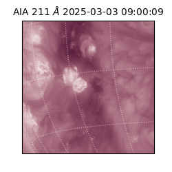 saia - 2025-03-03T09:00:09.632000