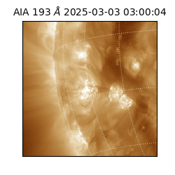 saia - 2025-03-03T03:00:04.843000