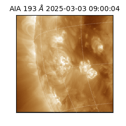 saia - 2025-03-03T09:00:04.844000