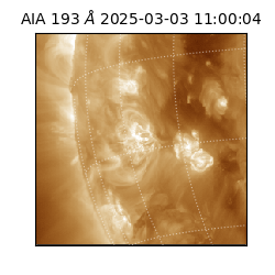 saia - 2025-03-03T11:00:04.843000