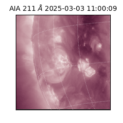 saia - 2025-03-03T11:00:09.630000