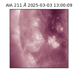 saia - 2025-03-03T13:00:09.630000