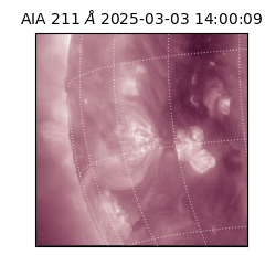 saia - 2025-03-03T14:00:09.626000