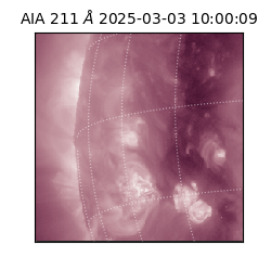 saia - 2025-03-03T10:00:09.632000