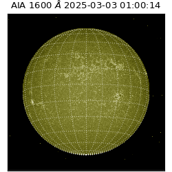 saia - 2025-03-03T01:00:14.125000