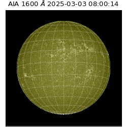saia - 2025-03-03T08:00:14.126000