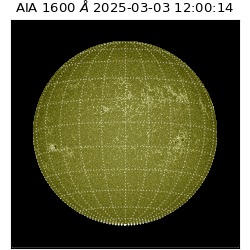 saia - 2025-03-03T12:00:14.125000