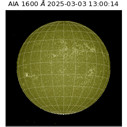 saia - 2025-03-03T13:00:14.129000