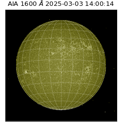 saia - 2025-03-03T14:00:14.126000