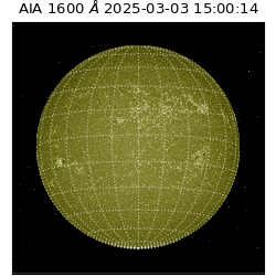 saia - 2025-03-03T15:00:14.126000