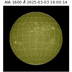 saia - 2025-03-03T16:00:14.125000